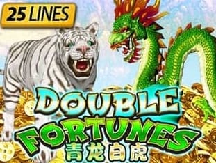 Double Fortunes icon